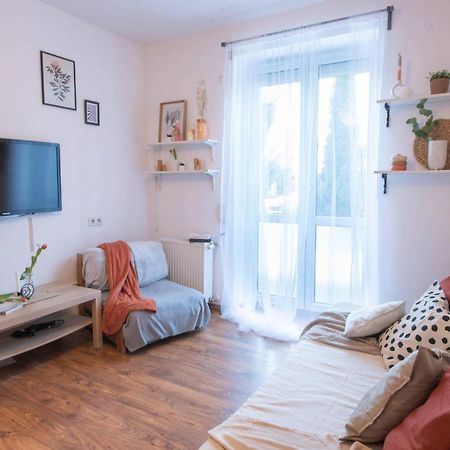 Home Studio Z Ogrodkiem Krakow Bagian luar foto